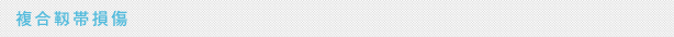 複合靱帯損傷